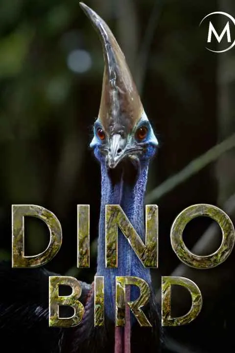 پوستر فیلم Dino Bird