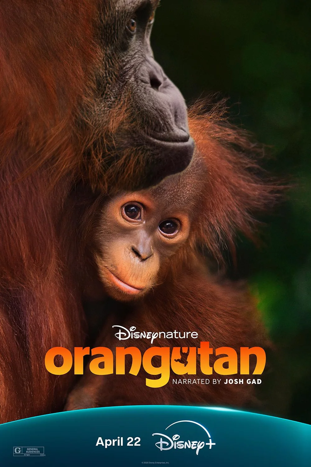 پوستر فیلم Orangutan